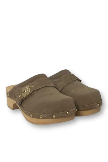 SHOLL ICONIC PESCURA CLOG 50 2025