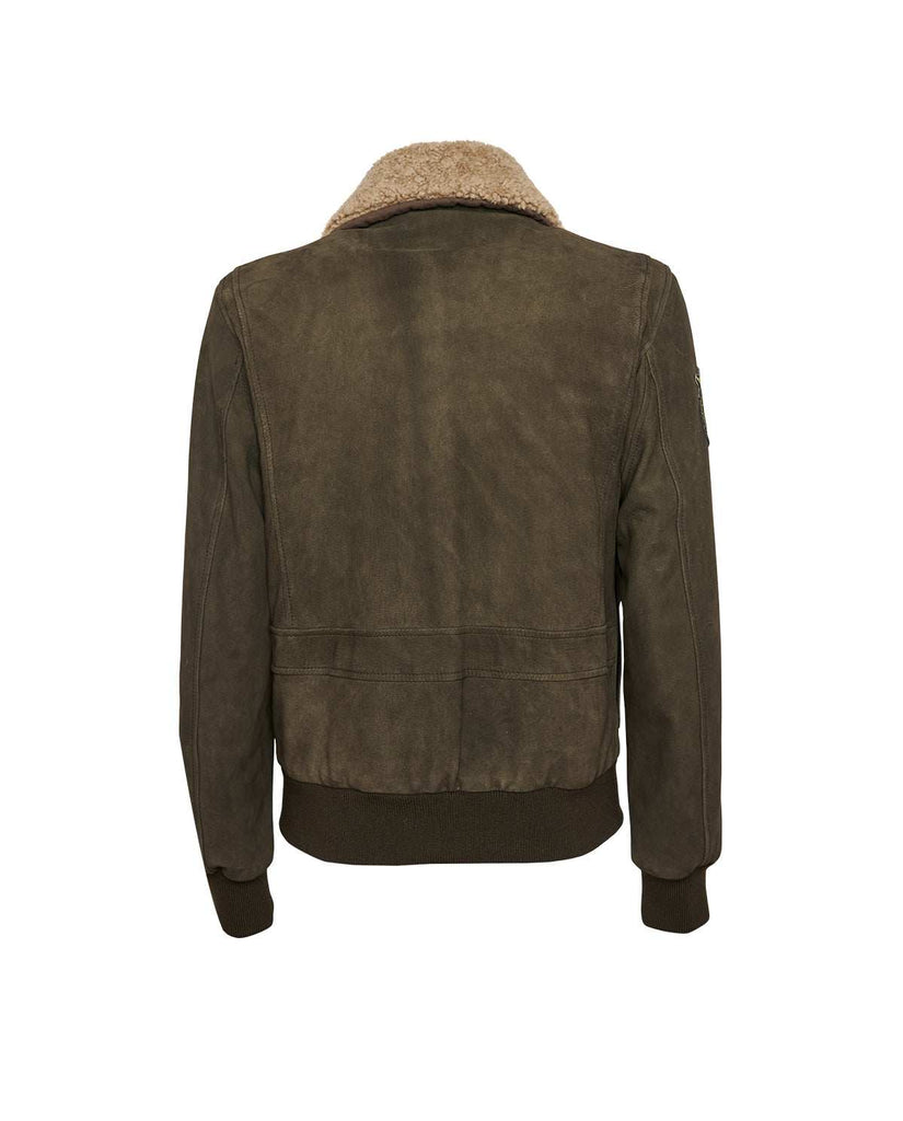 Stewart TORNADO-CHEVRETTE SKIN REMOVABLE COLLAR I Più Venduti